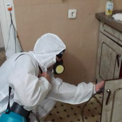 Дезинфекция от муравьев в квартире в Новоалександровске